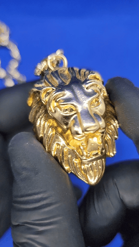 Full dollar chain + lion pedant