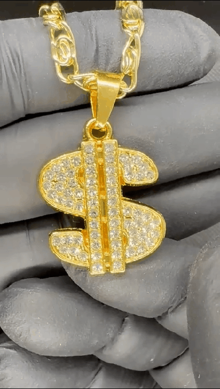 Dollar pedant + necklace 14k goldplated